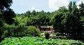 長沙出發(fā)到花明樓、韶山、張家界國家森林公園、天門仙山國家森林公園四日游